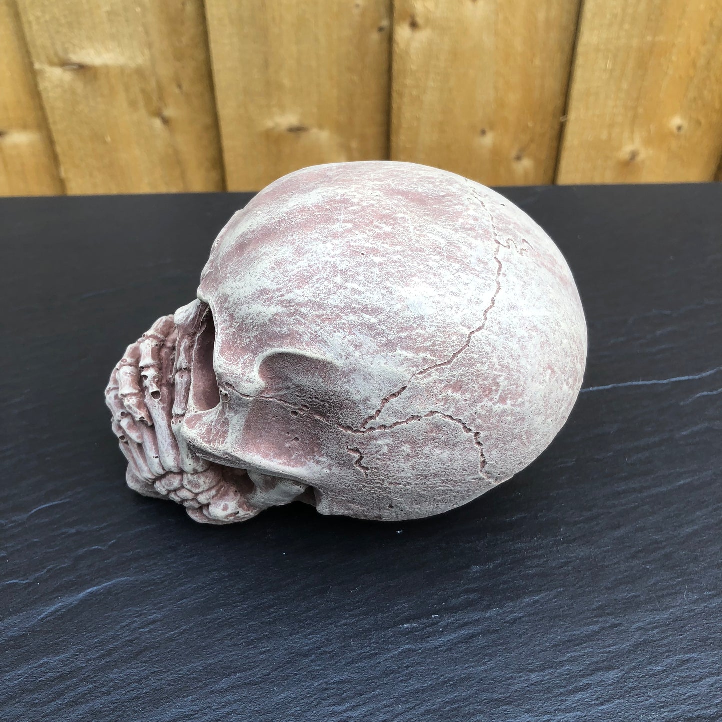 Surrey Stoneware - Skulls - 3 Wise Skulls - Skulls3