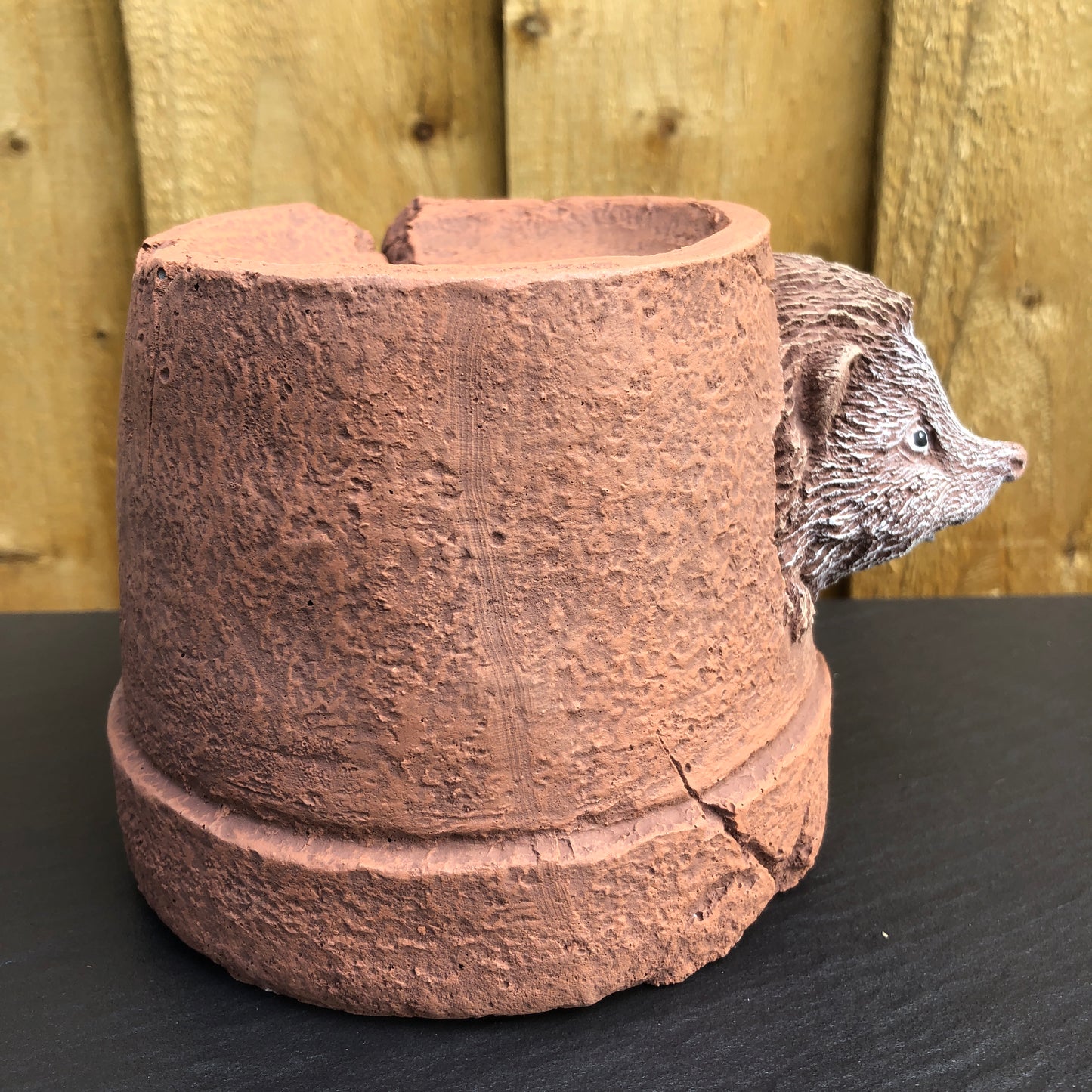 Surrey Stoneware - Hedgehog Hiding In A Pot - Hedgehog94