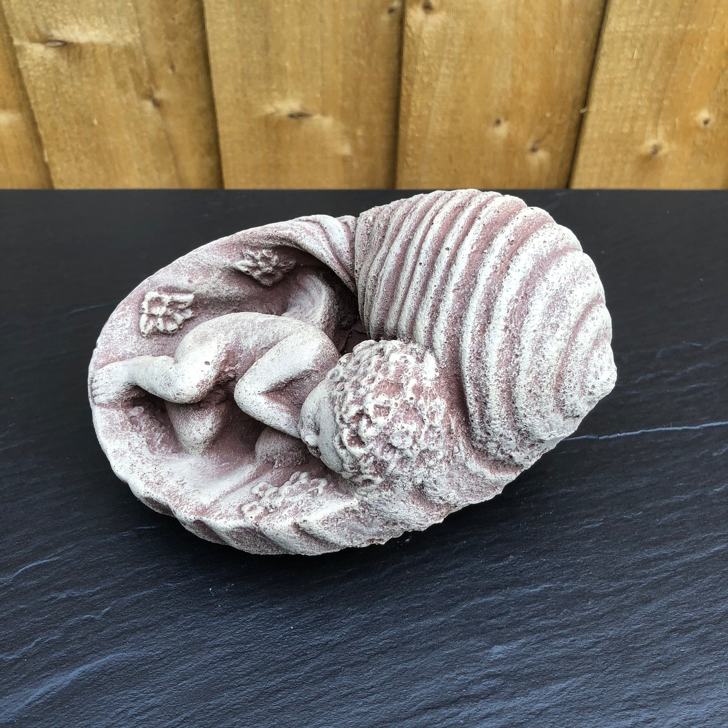 Surrey Stoneware - Cherub In A Sea Shell - Cherub116