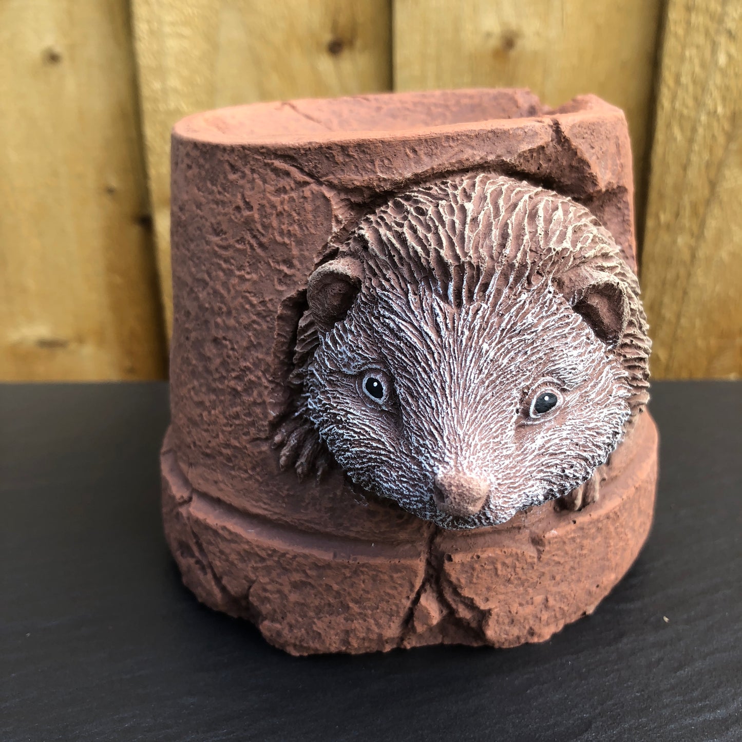 Surrey Stoneware - Hedgehog Hiding In A Pot - Hedgehog94
