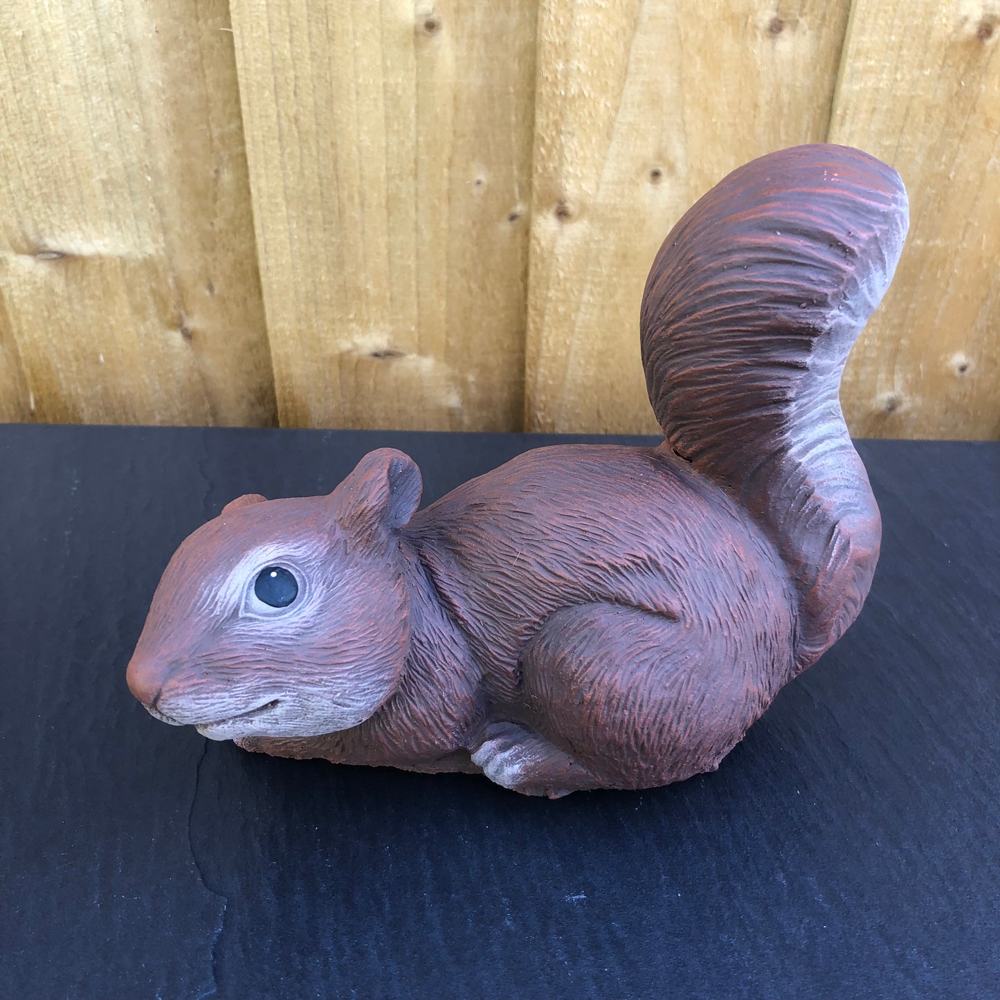 Surrey Stoneware - Squirrel - Red Squirrel - Squirrel67