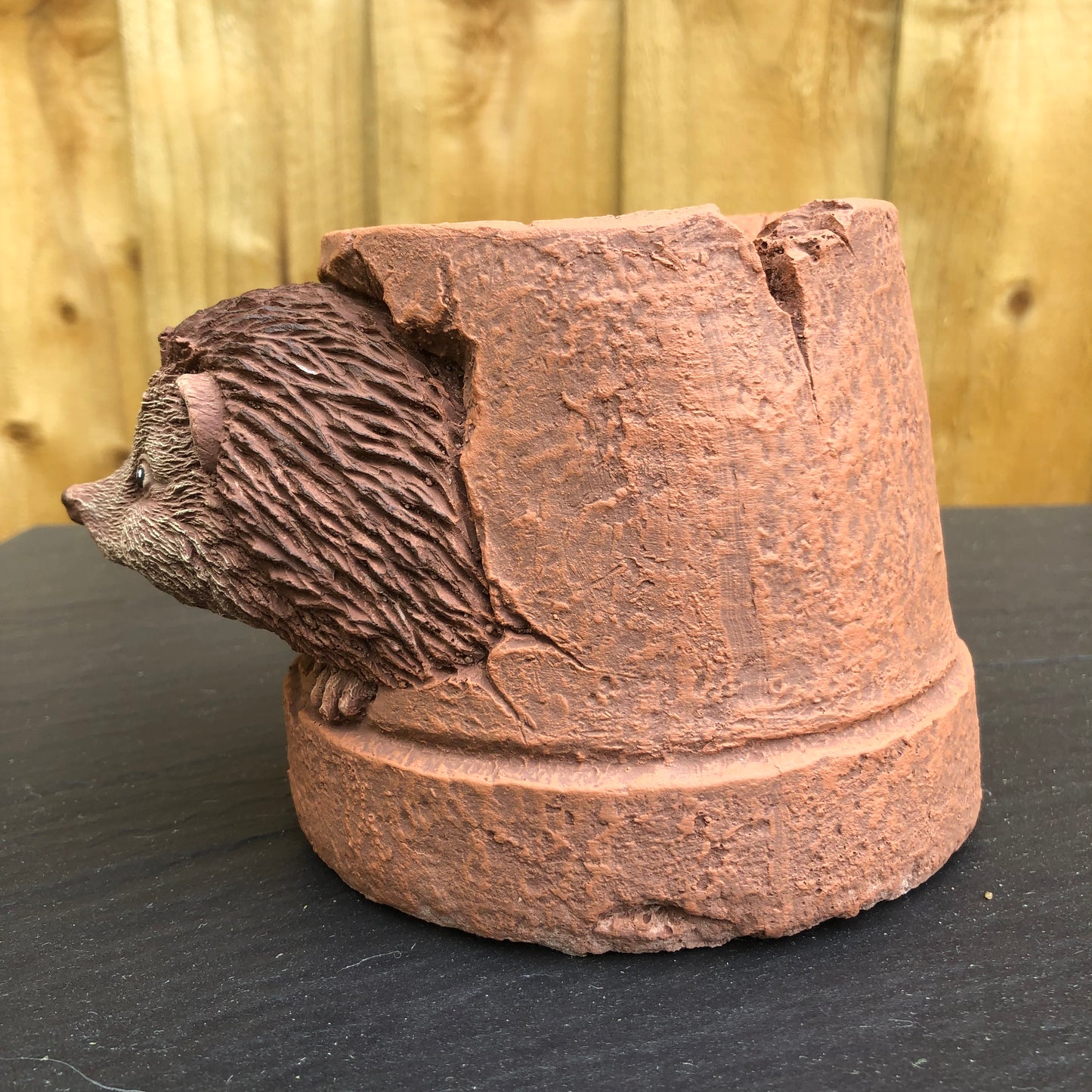 Surrey Stoneware - Hedgehog Hiding In A Pot - Hedgehog91