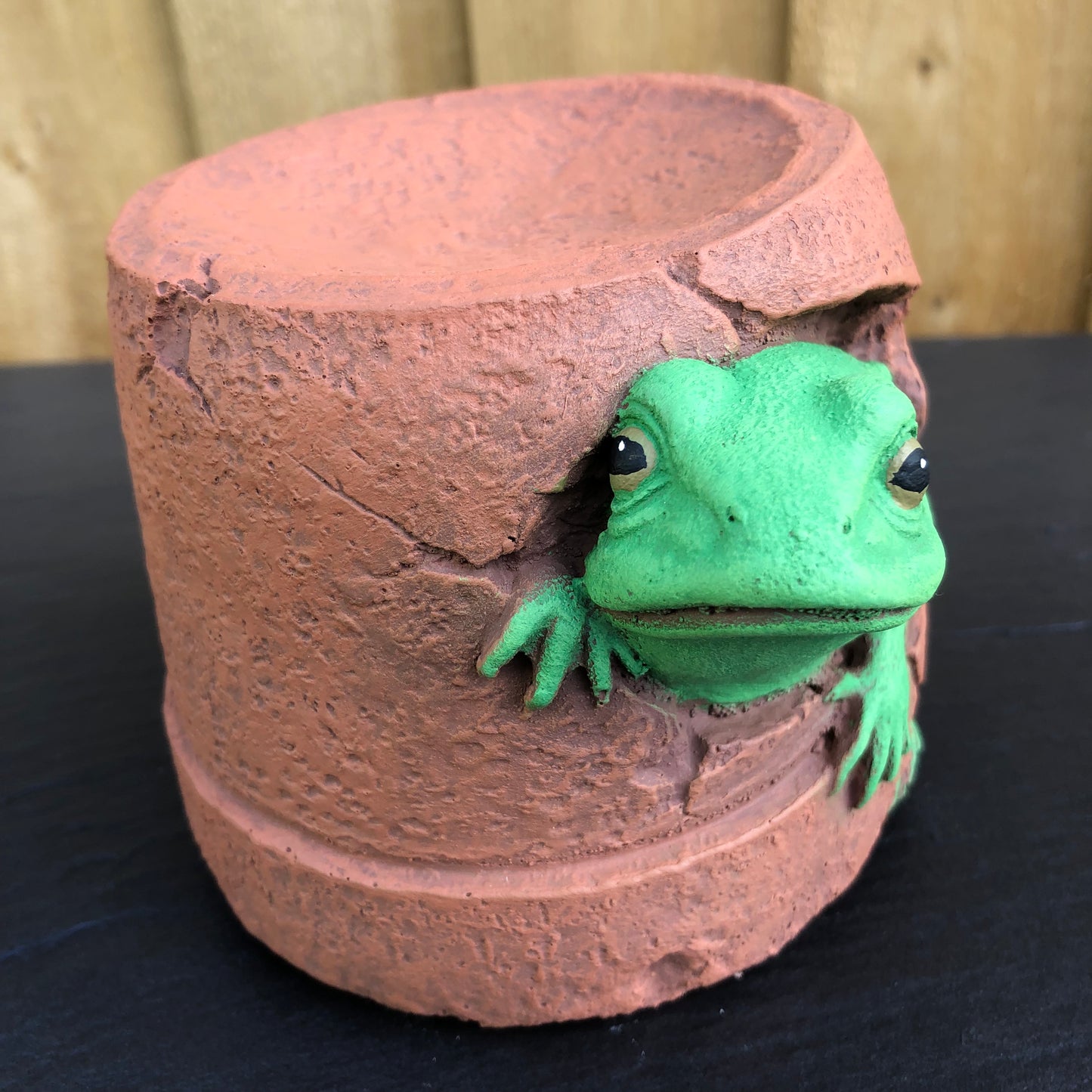 Surrey Stoneware - Frog Hiding In A Pot - Frog92