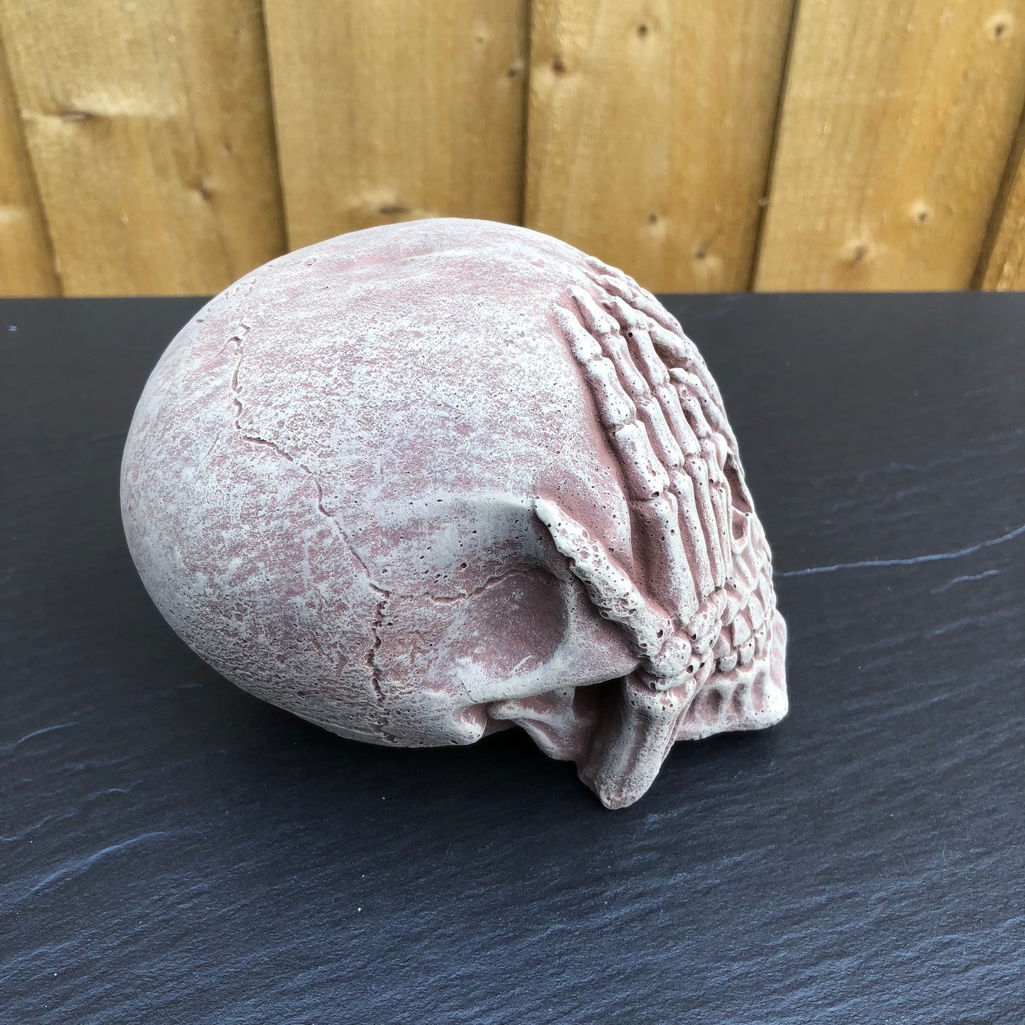 Surrey Stoneware - Skulls - 3 Wise Skulls - Skulls3