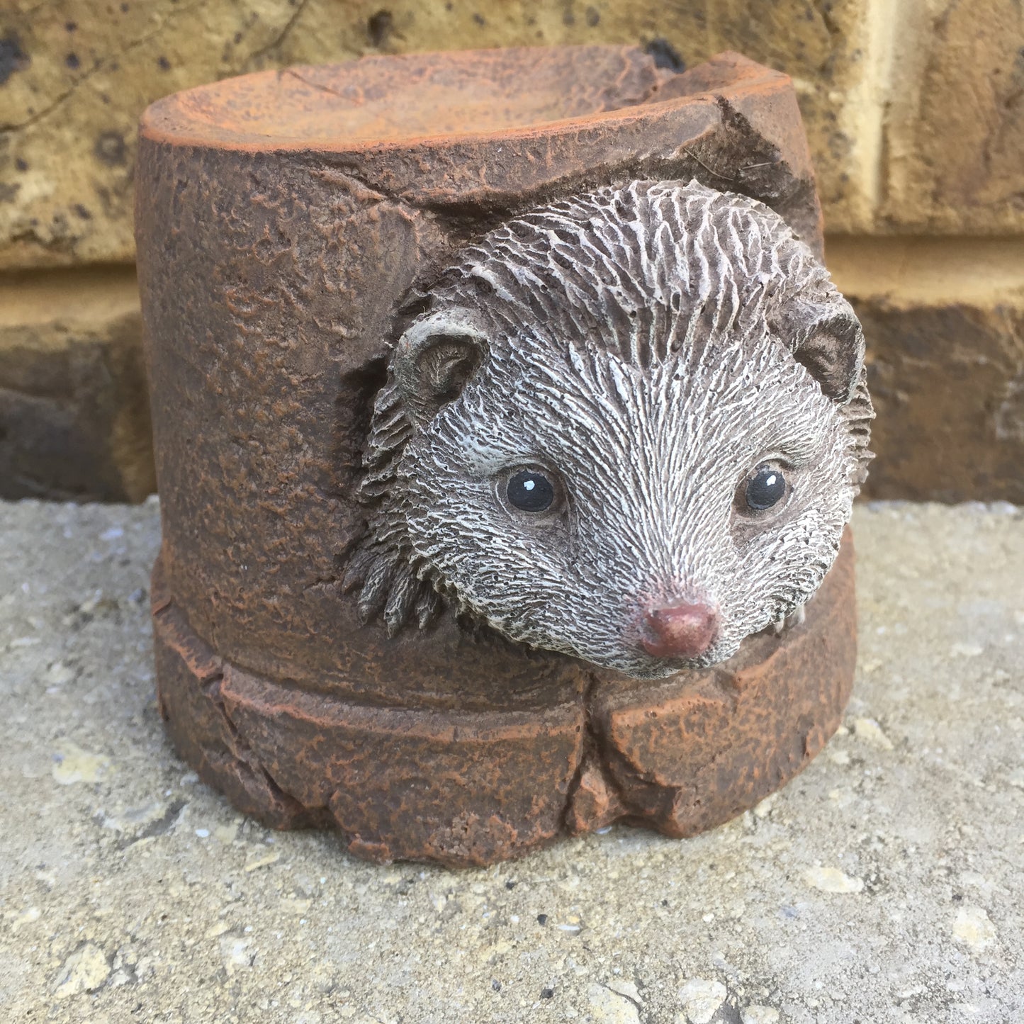 Surrey Stoneware - Hedgehog Hiding In A Pot - Hedgehog92