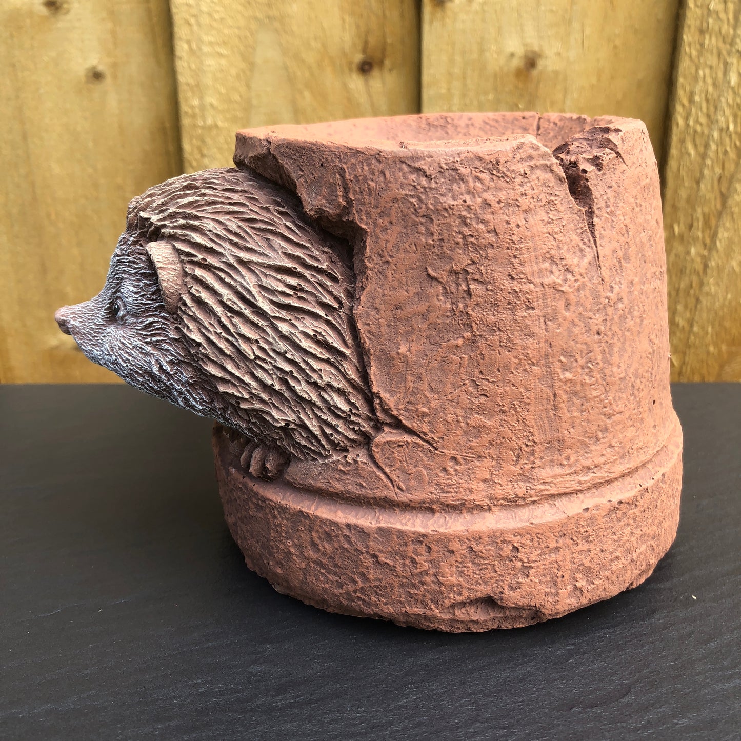 Surrey Stoneware - Hedgehog Hiding In A Pot - Hedgehog94