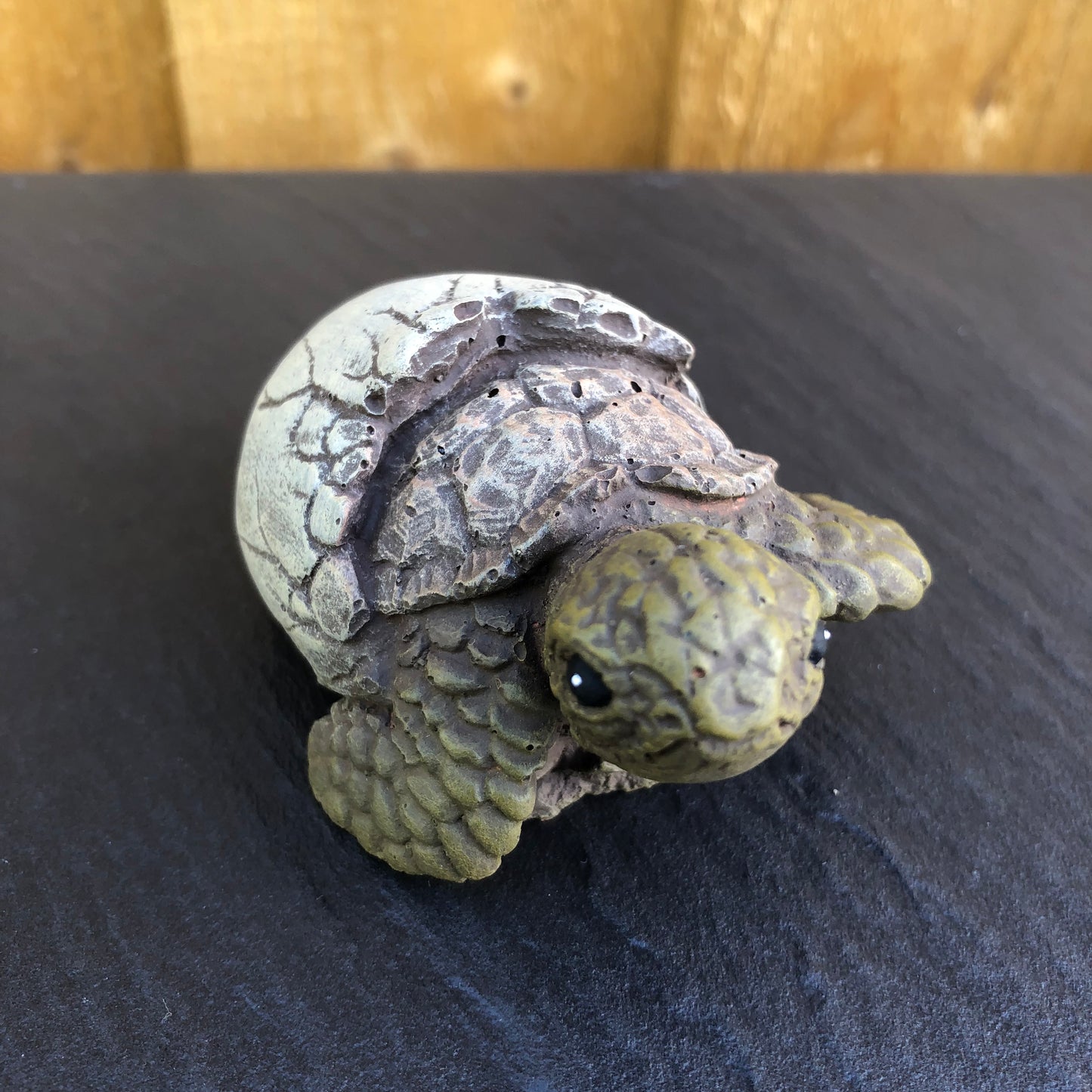 Surrey Stoneware - Tortoise - Miniature - Tortoise2