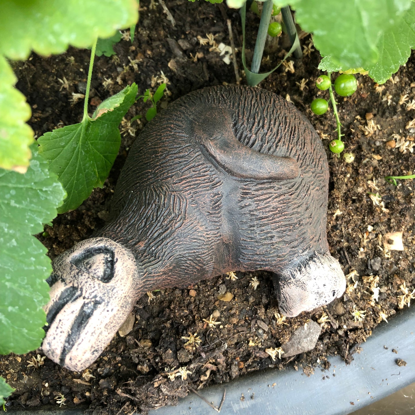 Surrey Stoneware - Mole Burrowing - Bottom Up - Mole55
