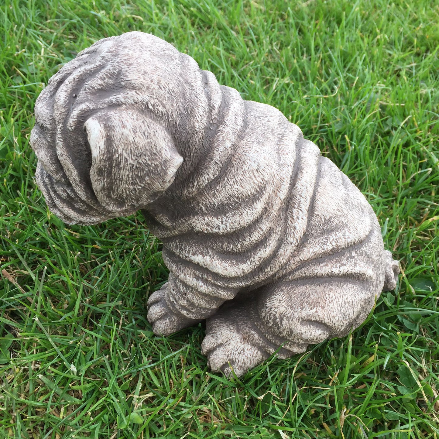 Surrey Stoneware - Dog - Shar Pei - Dog163