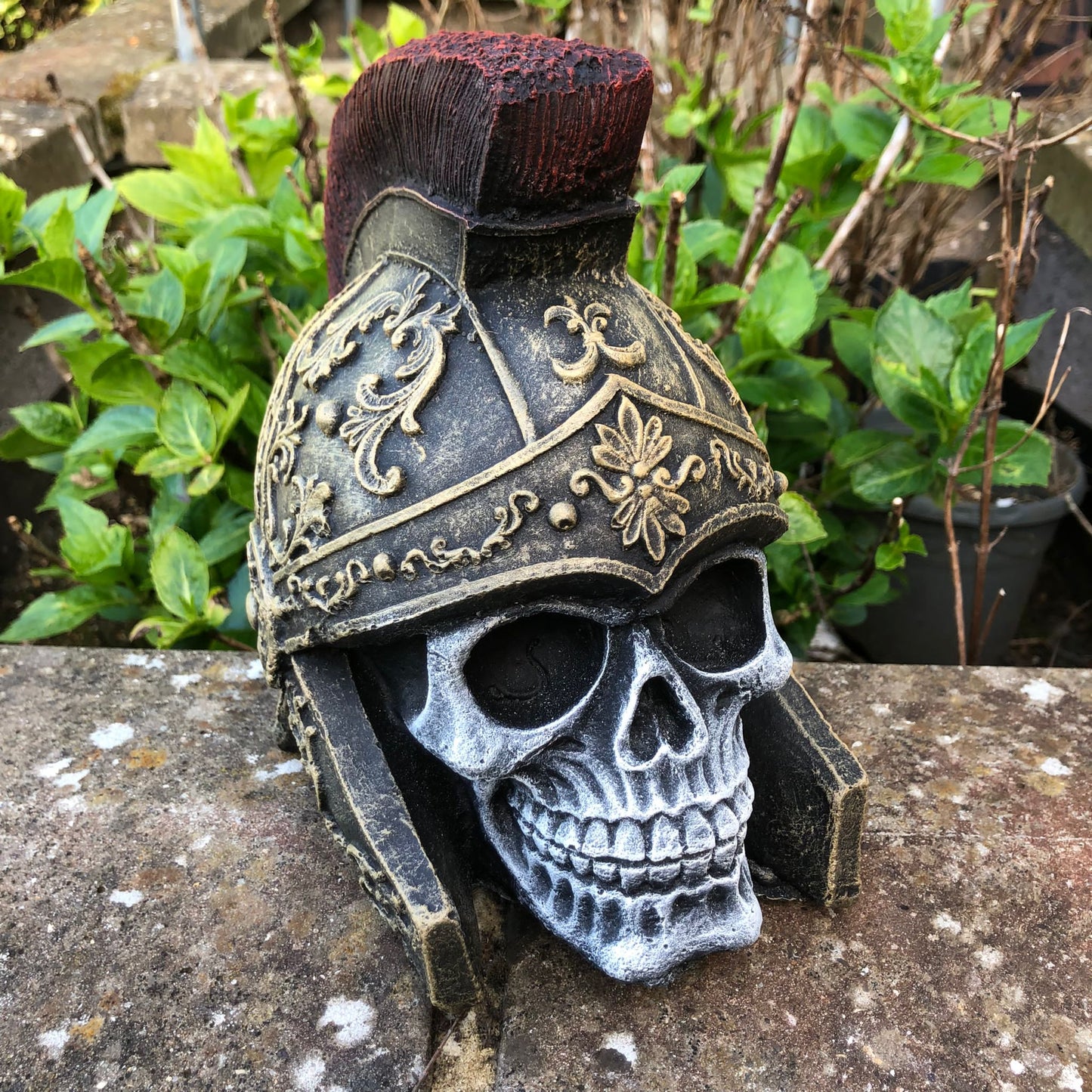 Surrey Stoneware - Skull In Gold And Red Helmet - Skull123