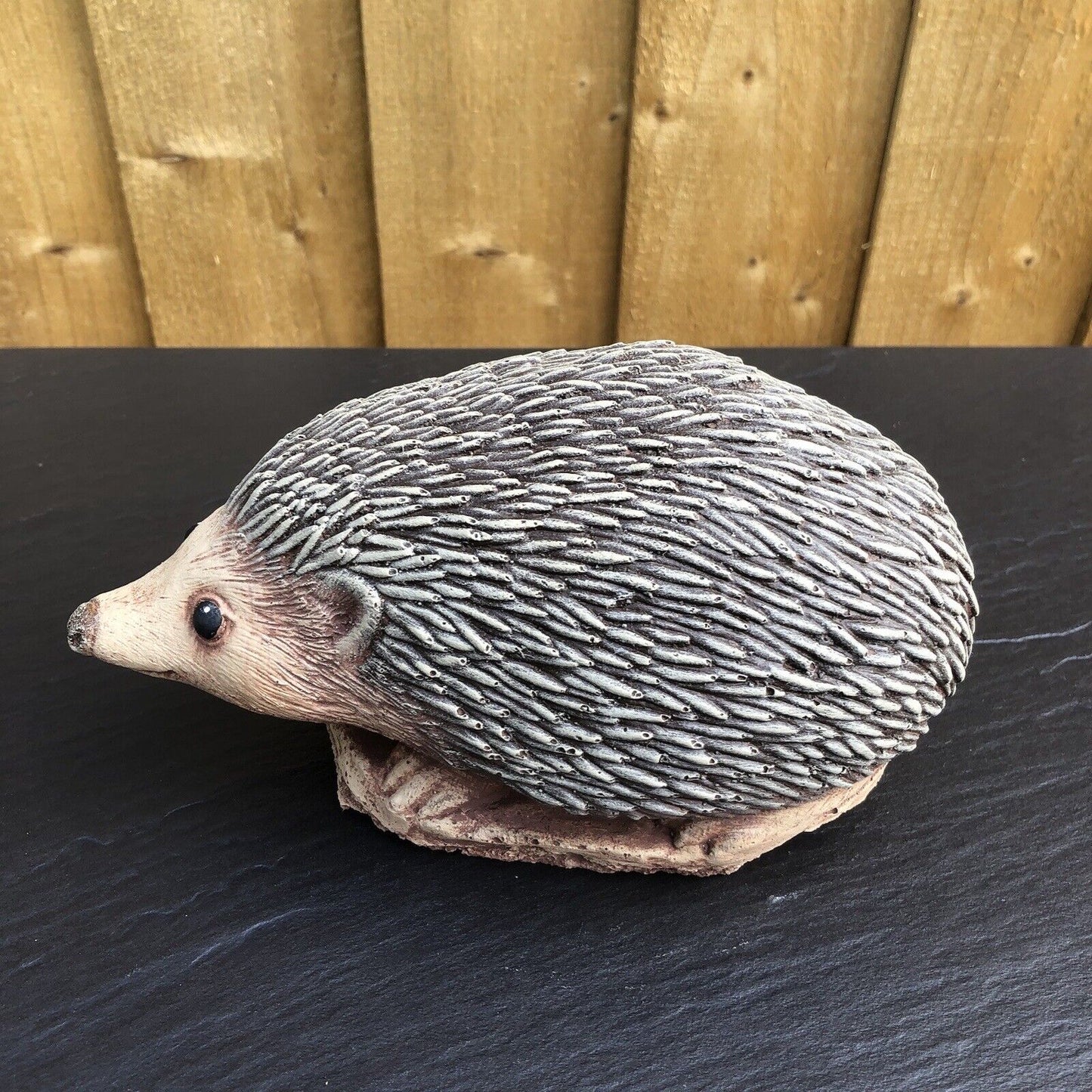 Surrey Stoneware - Hedgehog - Hedgehog61
