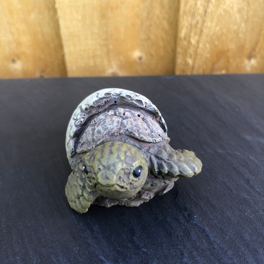 Surrey Stoneware - Tortoise - Miniature - Tortoise2