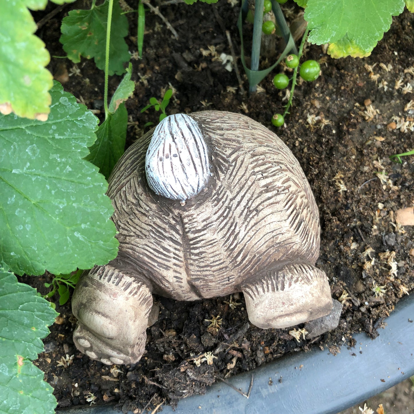 Surrey Stoneware - Rabbit Burrowing - Bottom Up - Rabbit57