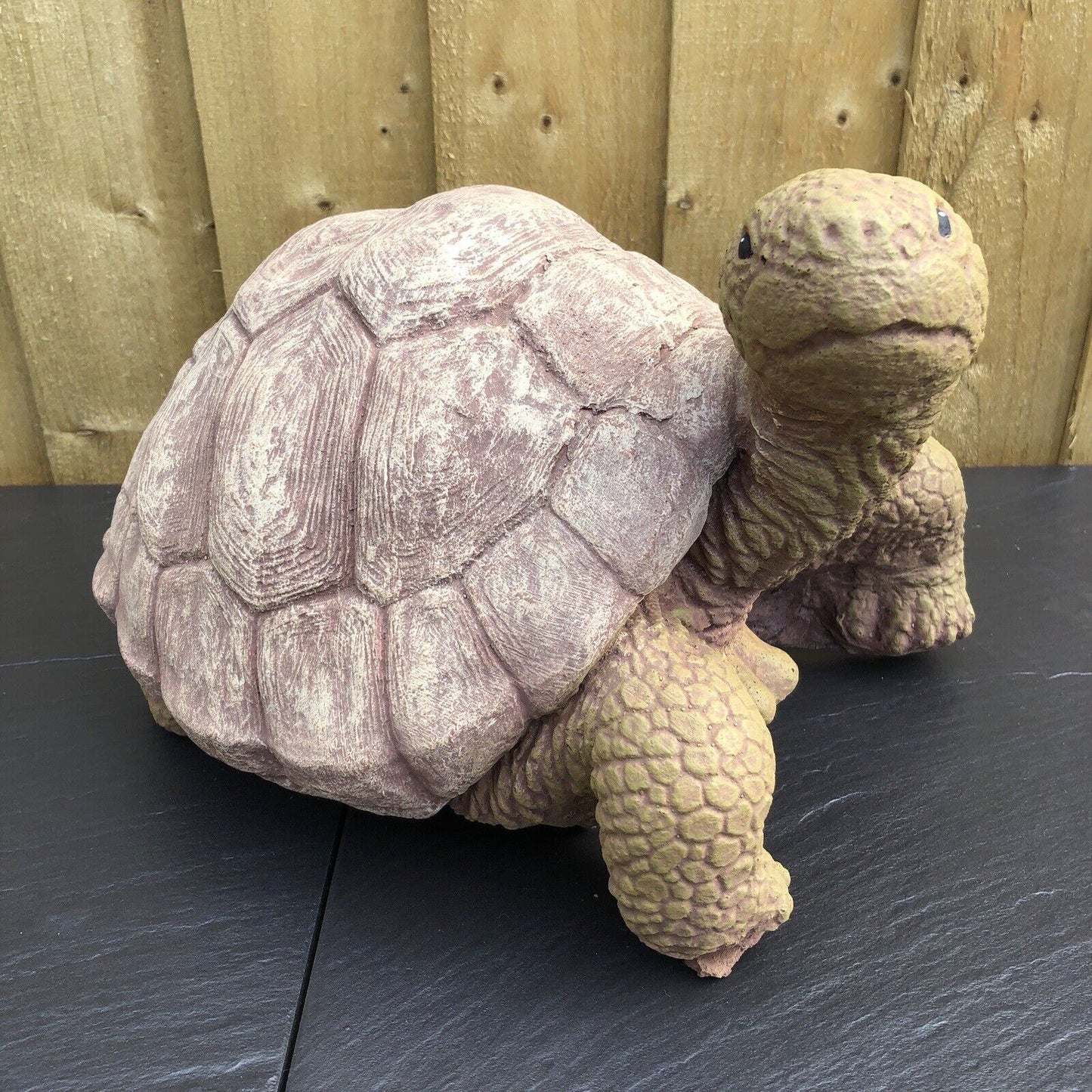 Surrey Stoneware - Tortoise - Large - Tortoise288