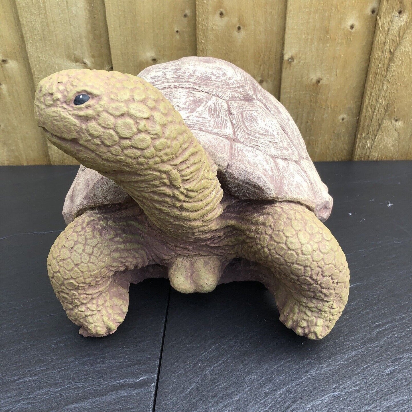 Surrey Stoneware - Tortoise - Large - Tortoise288