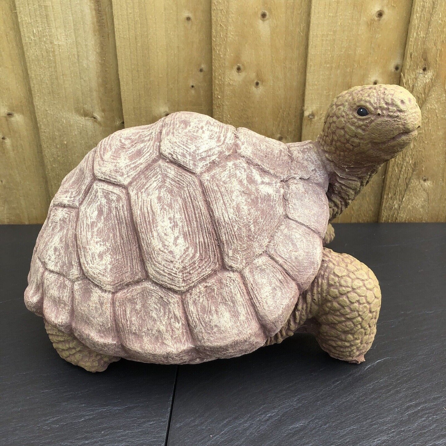 Surrey Stoneware - Tortoise - Large - Tortoise288