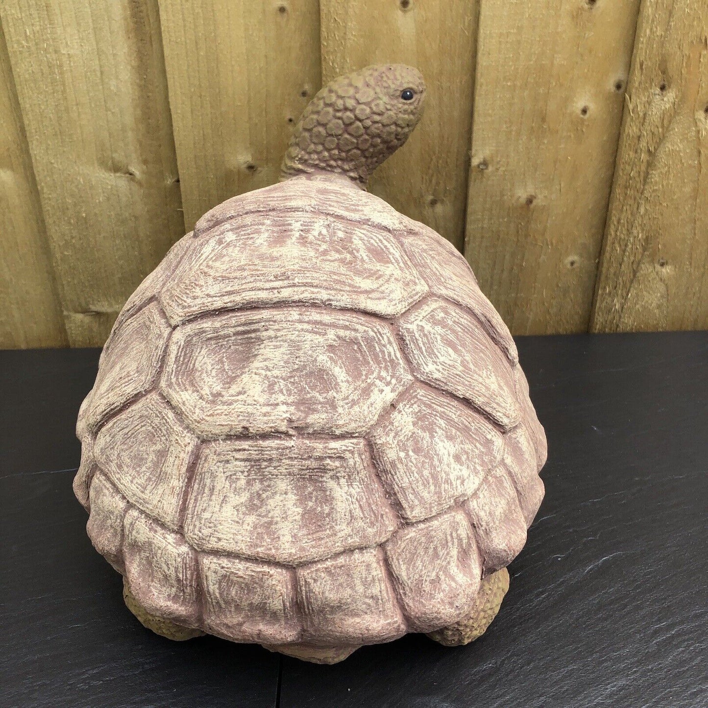 Surrey Stoneware - Tortoise - Large - Tortoise288